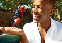 aviary1