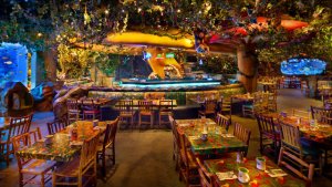 rainforest-cafe-animal-kingdom-gallery03